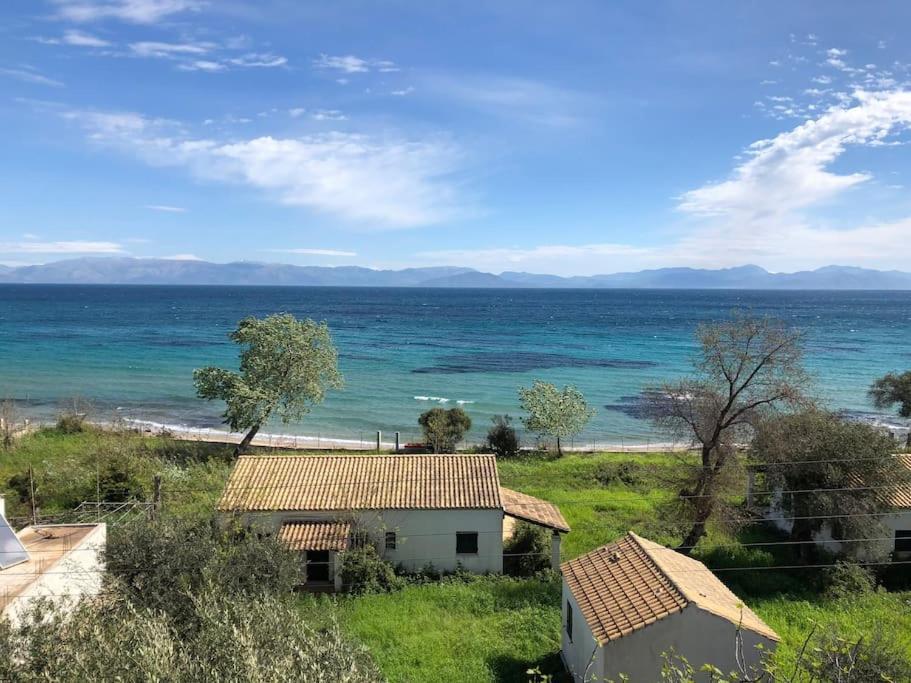 Sea View Apartment With Swimning Pool Μεσογγή Εξωτερικό φωτογραφία