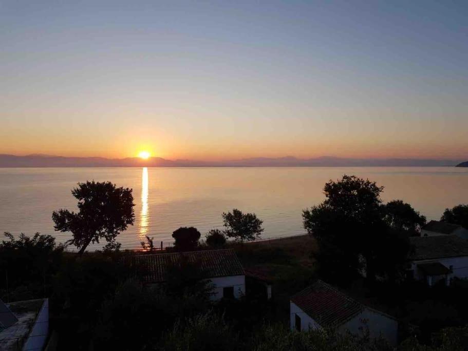 Sea View Apartment With Swimning Pool Μεσογγή Εξωτερικό φωτογραφία